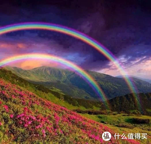 如何利用力量训练提高篮球运动员的弹跳力?_2